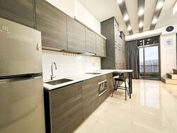 Sims Urban Oasis (D14), Condominium #573552081